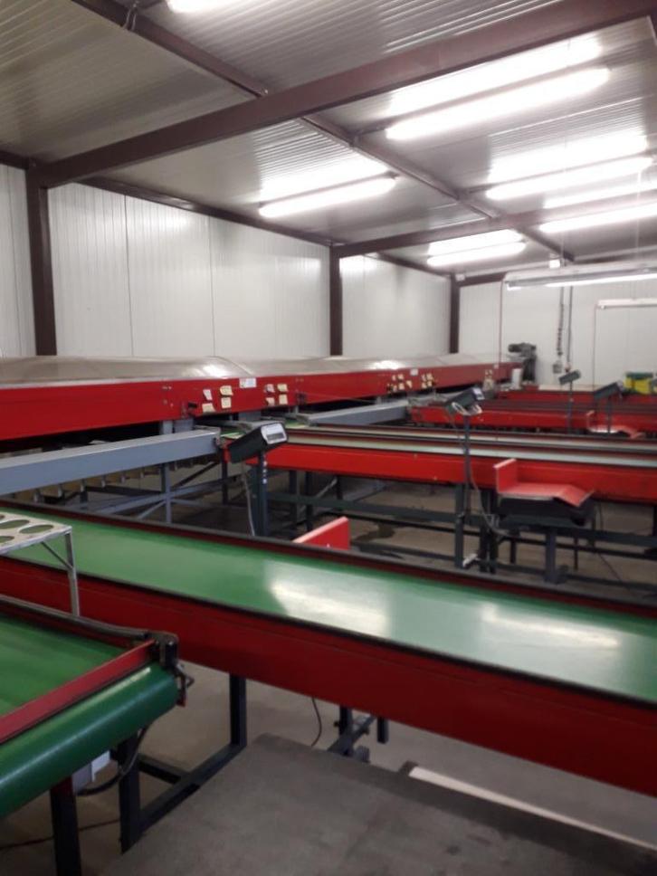 sorteermachine AWETA, Zakelijke goederen, Landbouw | Aardappelen, Groenten, Fruit en Vlees, Ophalen