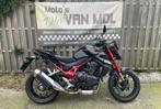 honda cb 750 hornet abs bj 2023 zeer goede staat + opties, 750 cc, 2 cilinders, Bedrijf, Meer dan 35 kW