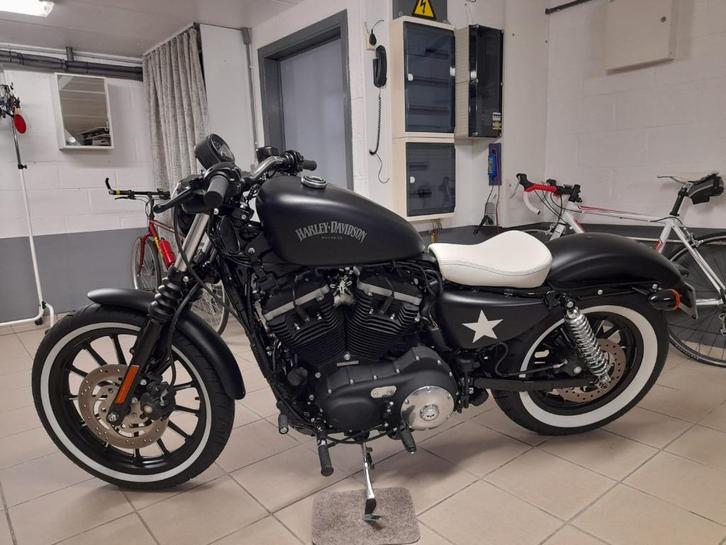 Harley Davidson Sportster 883 Iron 2013 Pearl, Motoren, Motoren | Harley-Davidson, Particulier, Naked bike, meer dan 35 kW, Ophalen