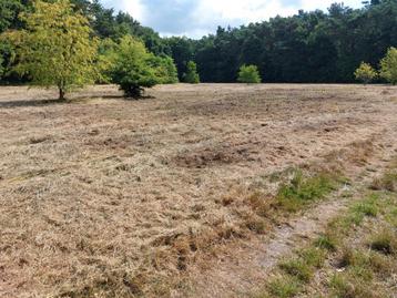 85a prairie à vendre à Oostham