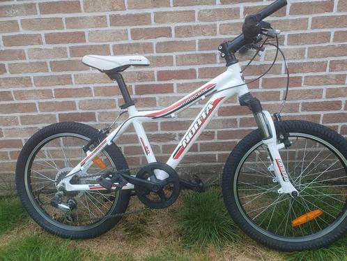 Norta hurricane, Fietsen en Brommers, Fietsen | Mountainbikes en ATB, Zo goed als nieuw, Ophalen of Verzenden