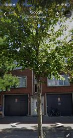 Appartement te koop Diksmuidelaan 218 Berchem, Verkoop zonder makelaar, Appartement, Antwerpen (stad)