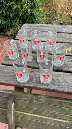 9 Dortmunder ritter bierglazen met handvat 0,25 l, Ophalen, Zo goed als nieuw