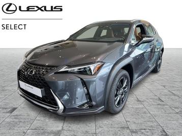 Lexus UX 250h Business Line  beschikbaar voor biedingen
