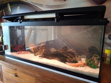 Aquarium 100x40x30 beschikbaar voor biedingen