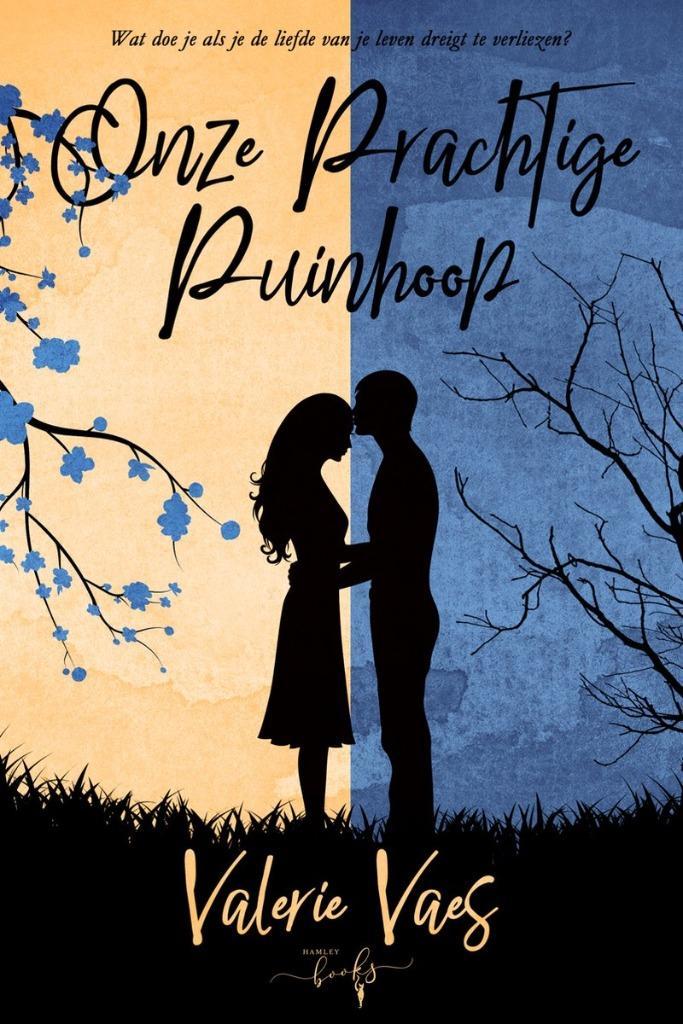 Onze Prachtige Puinhoop van Valerie Vaes, Boeken, Romans, Nieuw, Ophalen of Verzenden