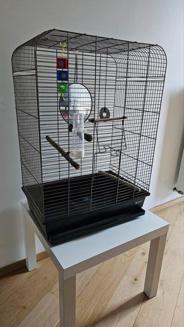 Vogelkooi in goede staat beschikbaar voor biedingen