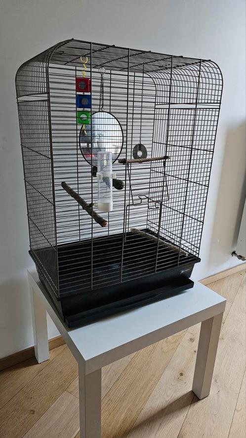 Vogelkooi in goede staat, Dieren en Toebehoren, Vogels | Hokken en Kooien, Zo goed als nieuw, Vogelkooi, Ophalen