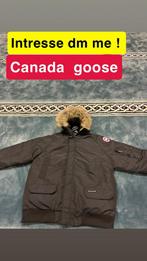 Zwarte nieuwe canda goose chilliwack jas maat XXL, Canda goose, Zwart, Nieuw, Overige maten