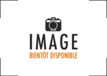 Ford Transit 2.0TDCi L2H2 Facelift 8 places / Boite auto beschikbaar voor biedingen