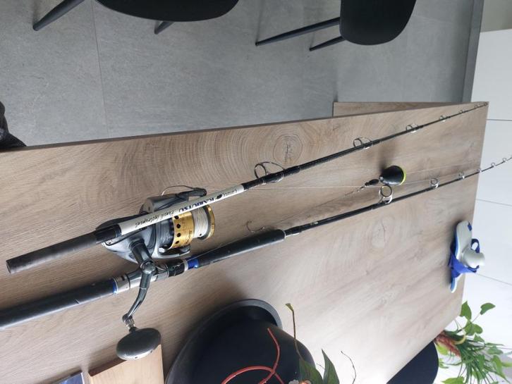 Uitrusting voor het vissen, Watersport en Boten, Hengelsport | Algemeen, Gebruikt, Werphengel, Ophalen