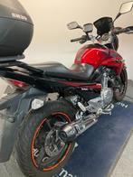 Suzuki GW 250 Inazuma MY'17 ref. LS 3039, Motoren, Motoren | Suzuki, 250 cc, 2 cilinders, Bedrijf, Toermotor