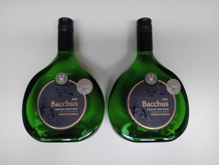 2 bouteilles de vin Franken Bacchus 2023 blanc, Collections, Vins, Neuf, Vin blanc, Autres régions, Enlèvement