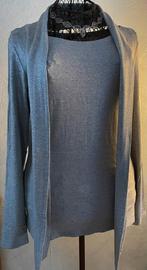 Caroline Biss 40 (38)grijs/zilver glitter top met slaatje, Kleding | Dames, Maat 38/40 (M), Nieuw, Ophalen of Verzenden, Lange mouw