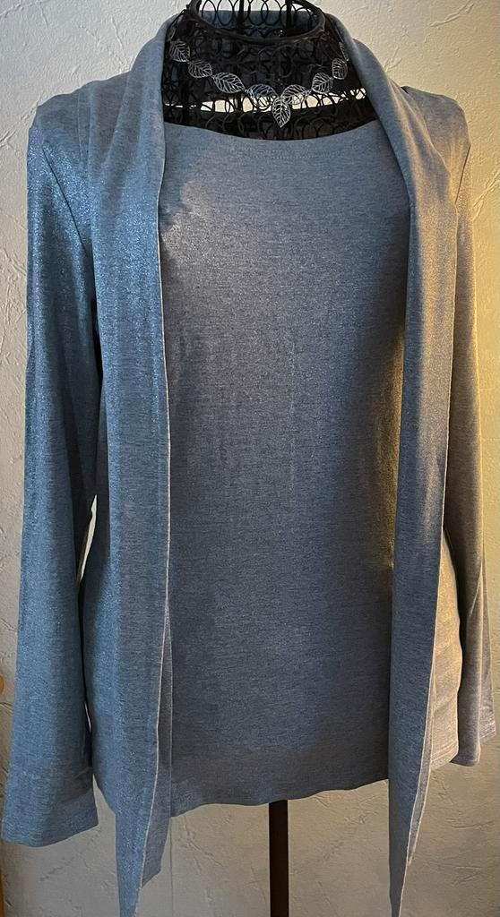 Caroline Biss 40 (38)grijs/zilver glitter top met slaatje, Kleding | Dames, Topjes, Nieuw, Maat 38/40 (M), Grijs, Lange mouw, Ophalen of Verzenden