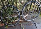 2 Wielen met Schalbe kojak banden 55-95 Rs. Nooit gebruikt ., Fietsen en Brommers, Fietsonderdelen, Ophalen, Zo goed als nieuw