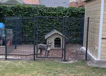 Omheining  voor tuin (draadpanelen/palen/poort) antraciet  beschikbaar voor biedingen