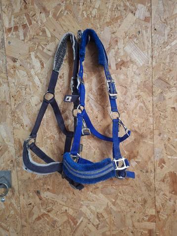 Halsters full