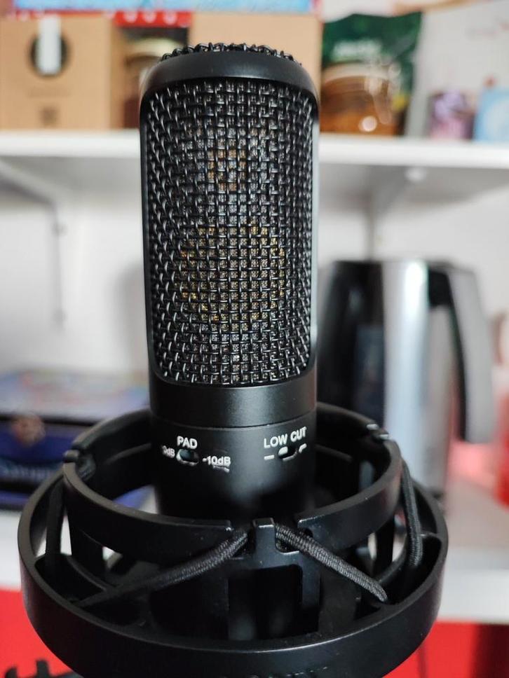 (Zeldzaam prototype) Sony c100 condensor microphone, Muziek en Instrumenten, Microfoons, Gebruikt, Ophalen of Verzenden