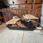 2 hamsterkooien met toebehoren. Zie foto's., Ophalen, Zo goed als nieuw