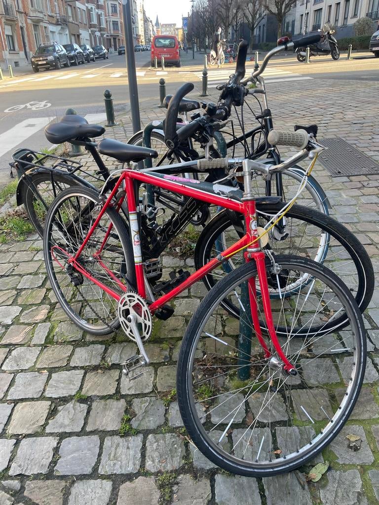 Flandria Velo Vintage Freddy Maertens Rouge, Fietsen en Brommers, Fietsen | Heren | Sportfietsen en Toerfietsen, Gebruikt, Ophalen