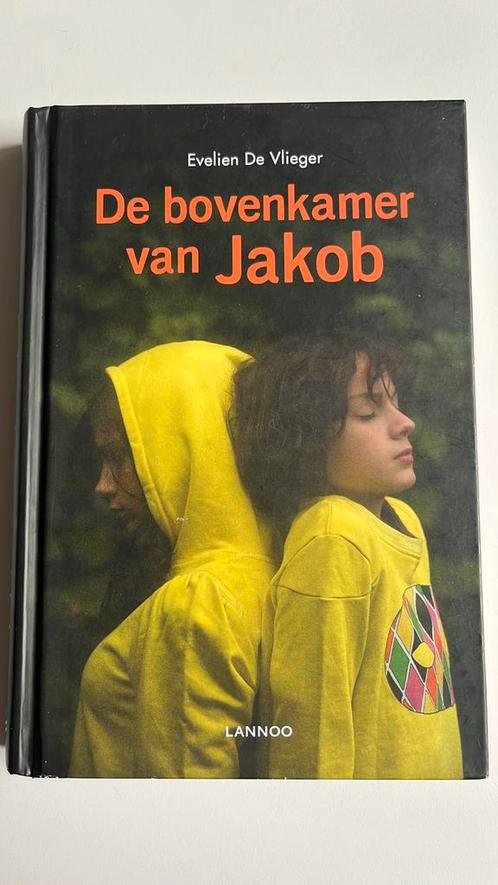 Evelien de Vlieger - De bovenkamer van Jakob, Livres, Livres pour enfants | Jeunesse | 13 ans et plus, Comme neuf, Enlèvement ou Envoi