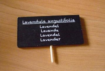 Zwart houten plakkaat Lavendel beschikbaar voor biedingen