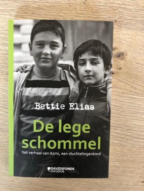 De lege schommel - aangrijpend jeugdboek, Boeken, Kinderboeken | Jeugd | 10 tot 12 jaar, Nieuw, Fictie, Ophalen of Verzenden