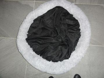 Honden mand 1 M beschikbaar voor biedingen