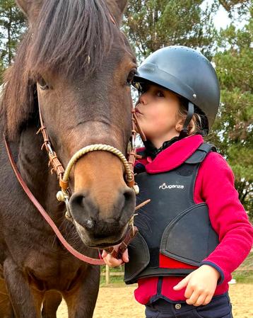 D pony met wedstrijdervaring beschikbaar voor biedingen