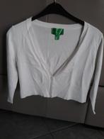 kort vestje maat L, Kleding | Dames, Truien en Vesten, Ophalen of Verzenden, Maat 42/44 (L)