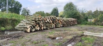 Brandhout te koop beschikbaar voor biedingen