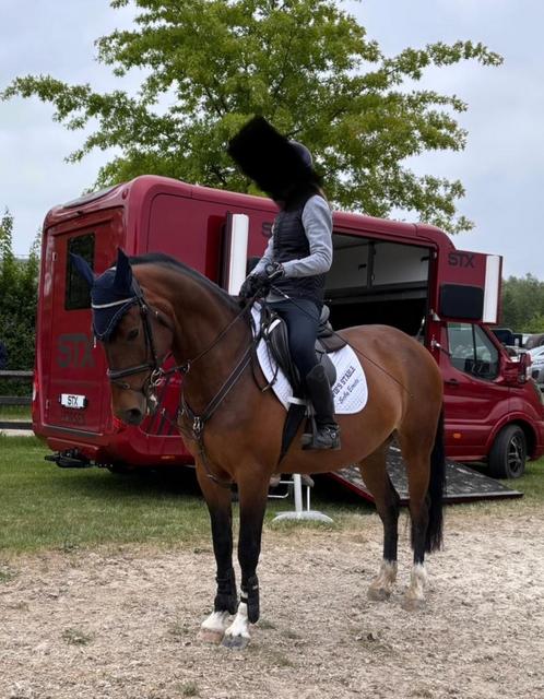 Super brave lieve 7j E pony merrie, Dieren en Toebehoren, Pony's, Merrie