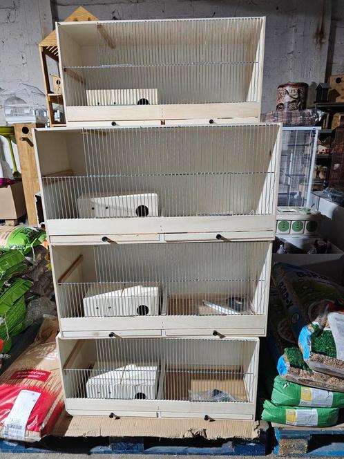 Cage d'élevage en bois de 80 cm avec bloc de nidification co, Animaux & Accessoires, Oiseaux | Cages & Volières, Neuf, Enlèvement ou Envoi