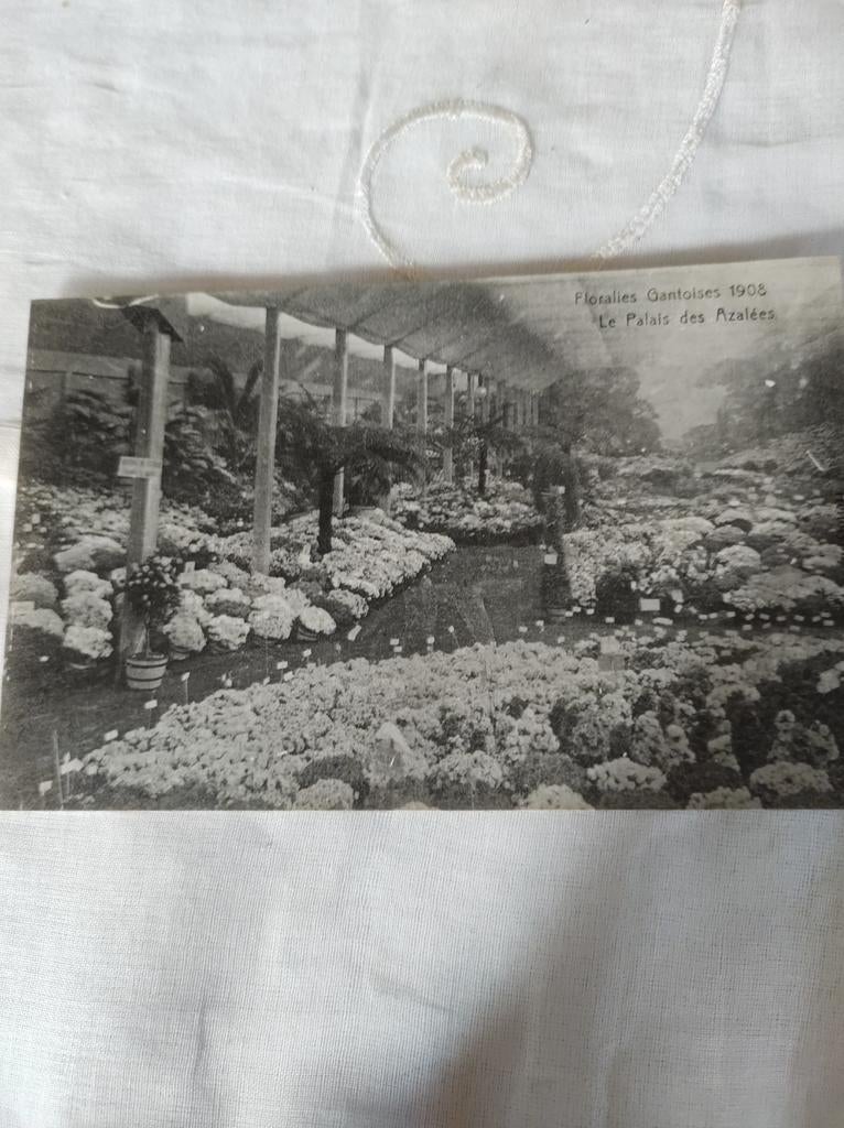 Floralies Gantoise 1908, Verzamelen, Ophalen of Verzenden