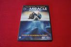 dvd big miracle, Cd's en Dvd's, Ophalen of Verzenden