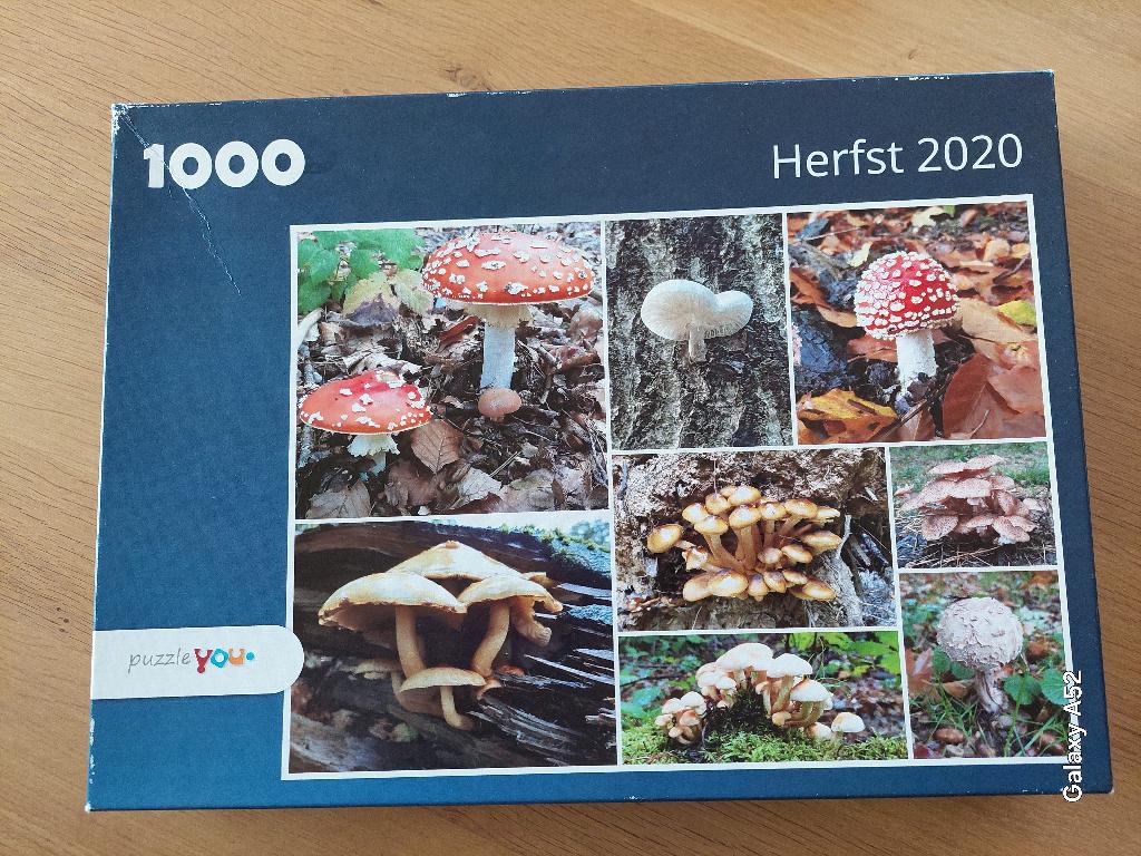 Puzzle 1000 pièces - Puzzle you - Automne, Enlèvement ou Envoi, 500 à 1500 pièces, Comme neuf, Puzzle