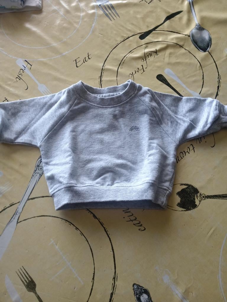 Pull pour bébé taille 50, Enfants & Bébés, Pull ou Veste, Comme neuf, Enlèvement, Zeeman