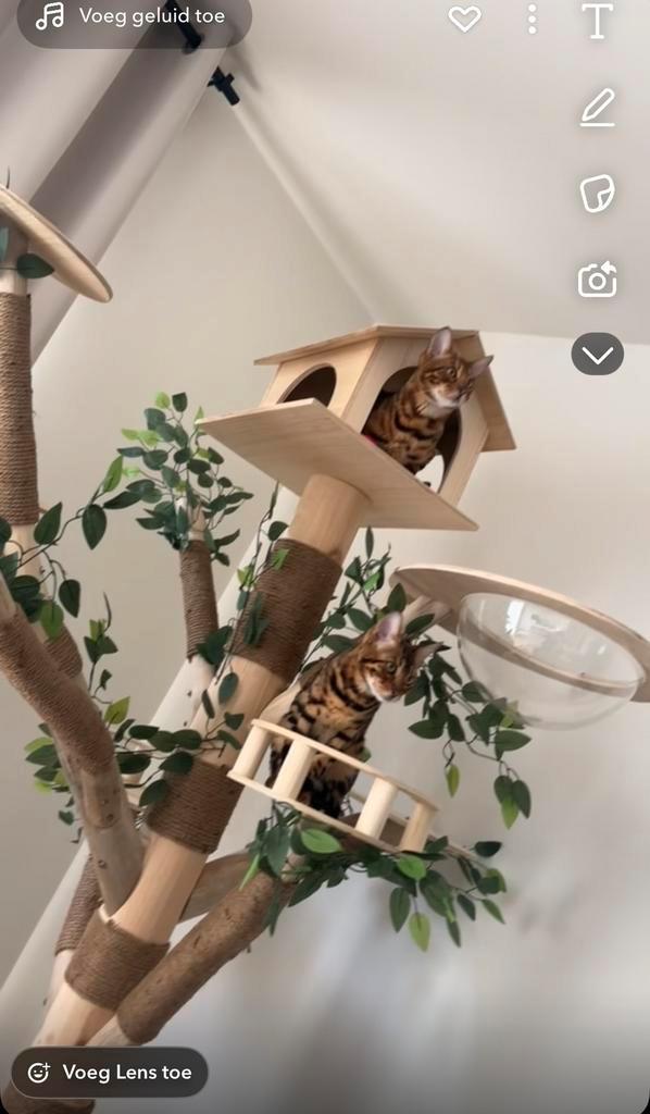 Luxe kattenboom van echte eikenboom, Dieren en Toebehoren, Krabmeubelen, Zo goed als nieuw, Krabpaal, Ophalen of Verzenden