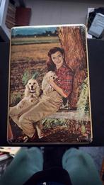 Vintage blikken doosje, Verzamelen, Ophalen, Zo goed als nieuw