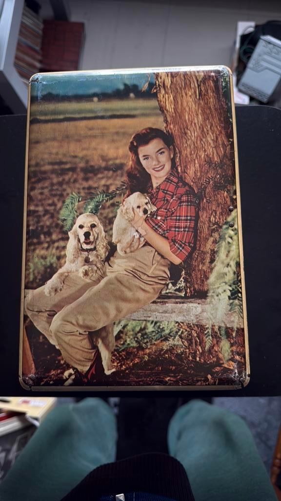 Vintage blikken doosje, Collections, Photos & Gravures, Comme neuf, Enlèvement