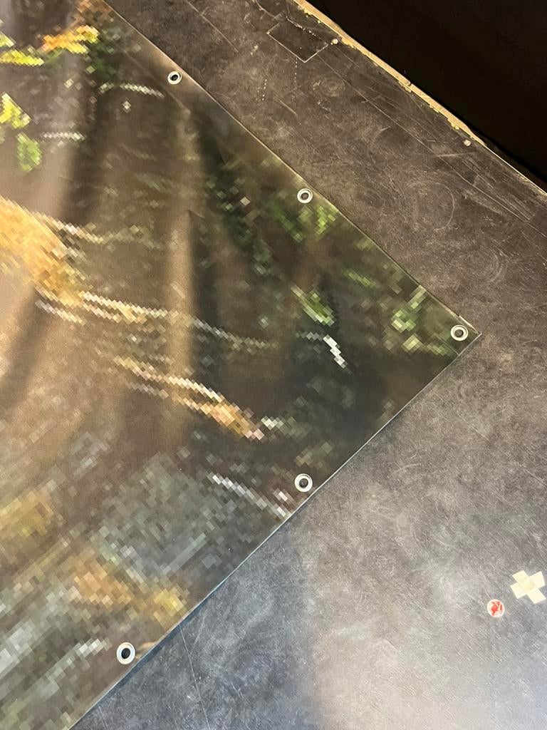 Toile de scène en forêt de conte de fées 9 x 3,5 m, Hobby & Loisirs créatifs, Costumes, Matériel de théâtre & Jeux de rôle, Enlèvement