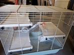 Hamsterkooi, Dieren en Toebehoren, Ophalen, Hamster