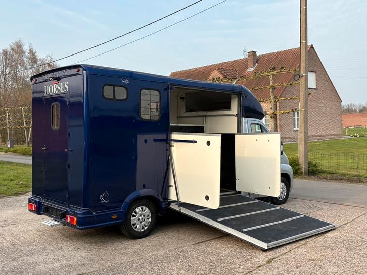 🐴Peugoet Boxer 2.2HDI Paardencamionette Equi-Trek Horses, Animaux & Accessoires, Chevaux & Poneys | Semi-remorques & Remorques