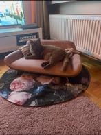 Katten lounge zetel in oudroze, Dieren en Toebehoren, Kattenmanden, Ophalen, Zo goed als nieuw, Overige