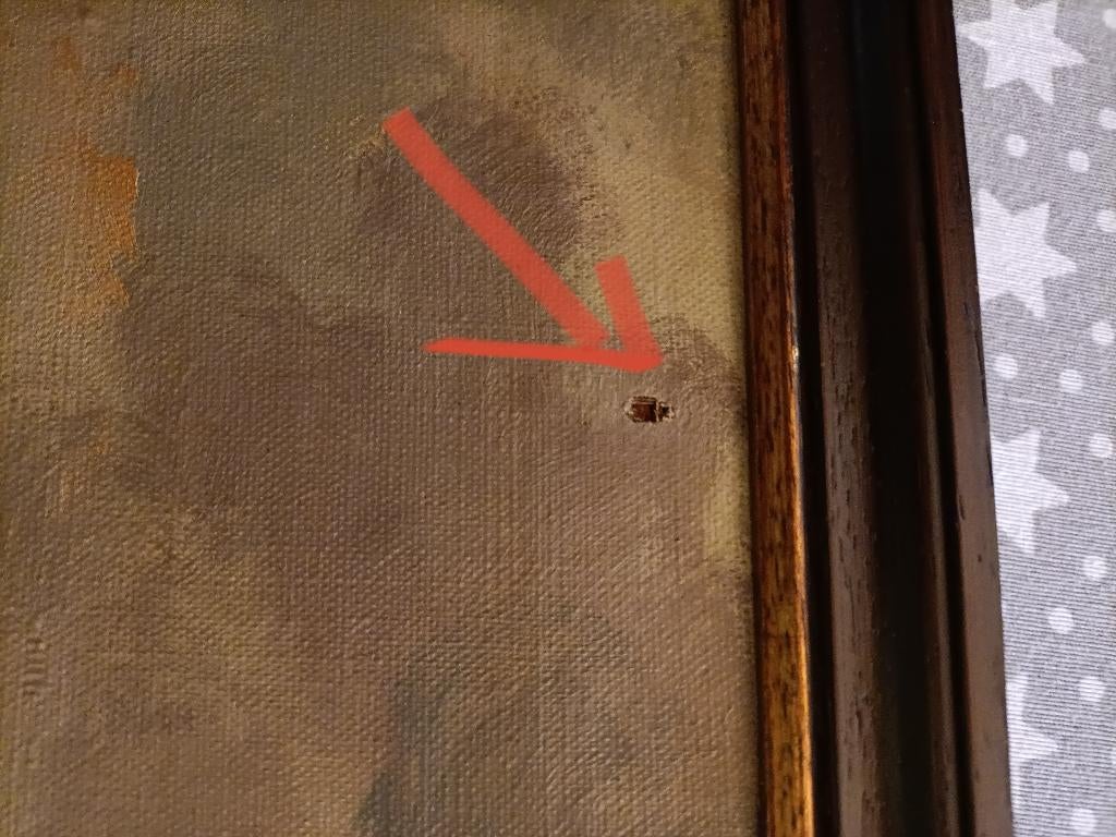 Schilderij, Ophalen, Gebruikt, Schilderij, Minder dan 50 cm