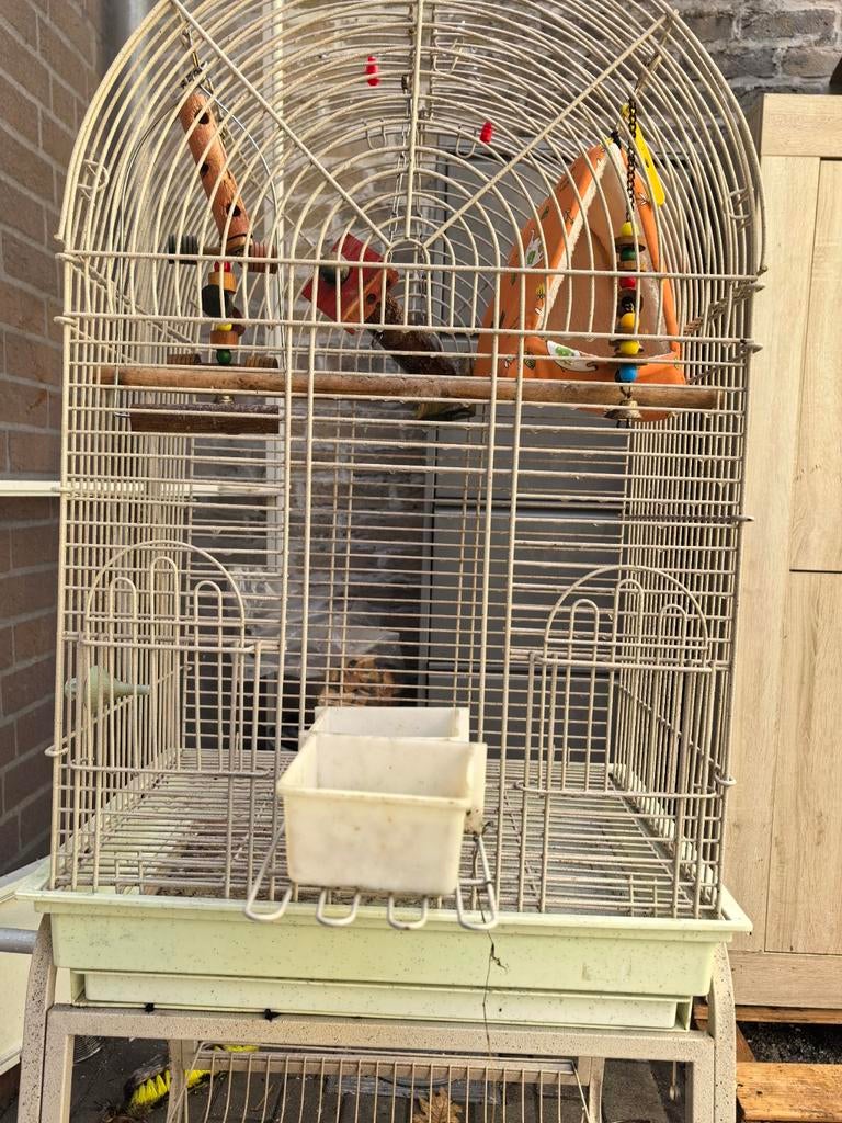 Grote metalen vogelkooi op standaard – met speelgoed & zitst, Ophalen, Zo goed als nieuw, Metaal, Vogelkooi