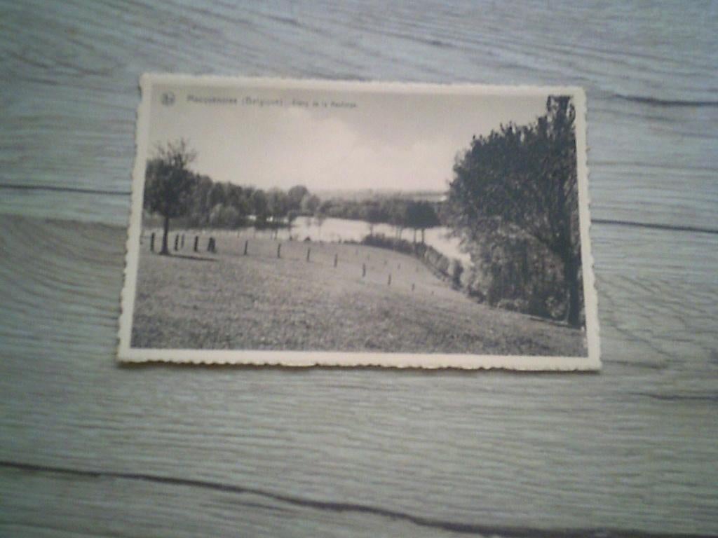 MACQUENOISE: Etang de la Neuforge, Enlèvement ou Envoi, Avant 1920, Non affranchie, Hainaut
