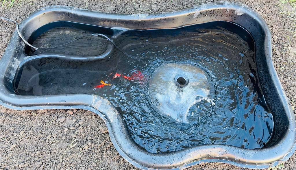 Etang de jardin compet prix a discuter, Jardin & Terrasse, Enlèvement, Comme neuf