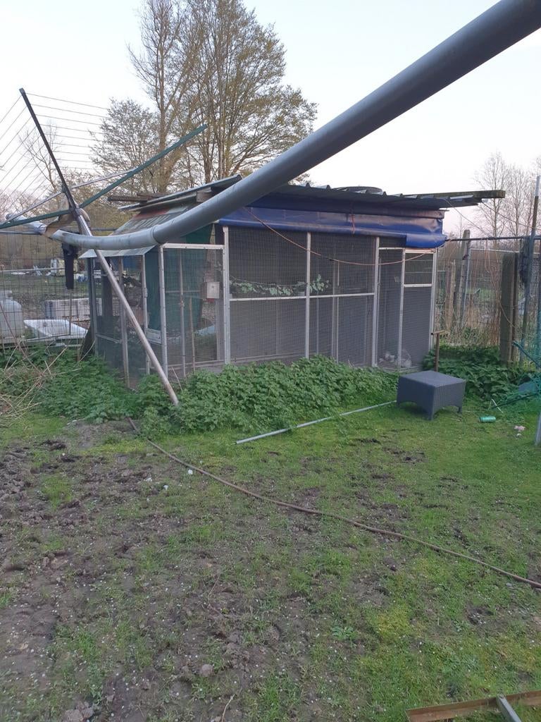 Voliere, Dieren en Toebehoren, Ophalen